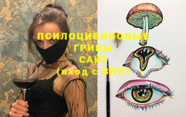 прущие грибы Баксан