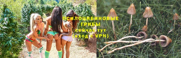 дживик Балабаново