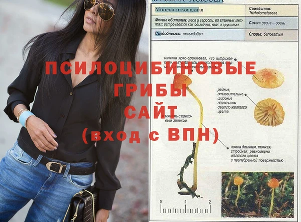 прущие грибы Баксан